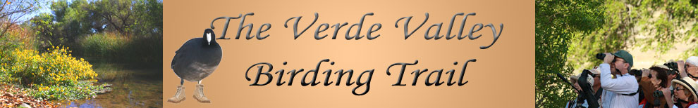 Verde Birding Trail